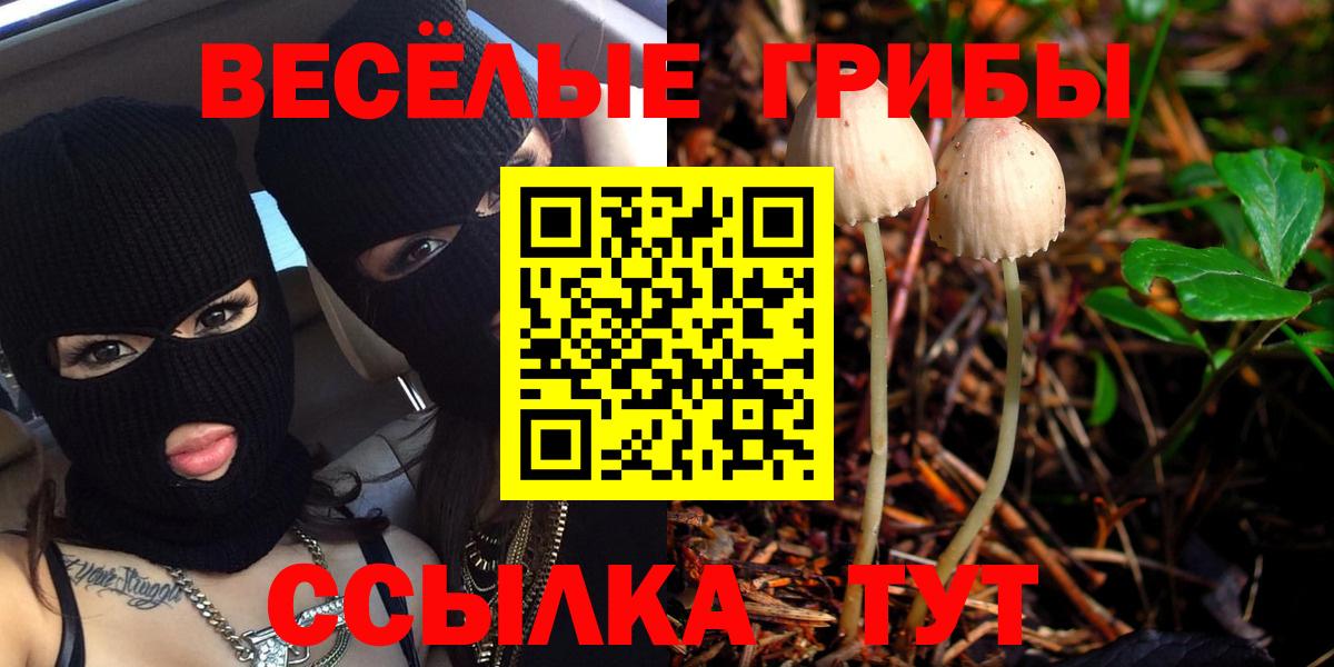 Псилоцибиновые грибы прущие грибы  Вход с VPN  Верхняя Пышма 
